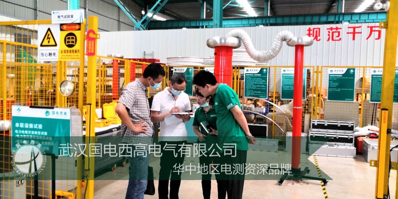 武汉客户莅临国电西高考察三级资质承试设备