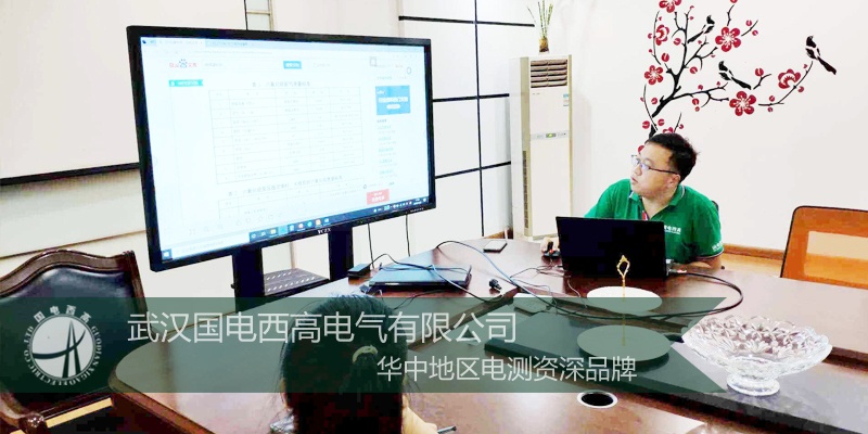 国电西高周三培训之SF6测试仪选型培训会