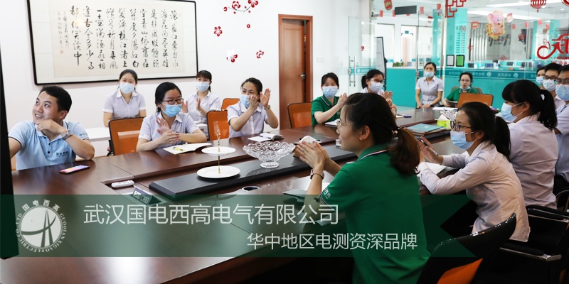 国电西高周六培训之蓄电池在线监测系统培训