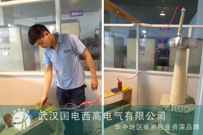 扬中质检所邀国电西高调试设备