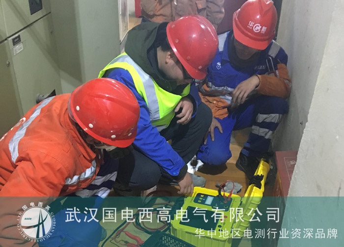 国电西高应邀为西藏客户调试超低频