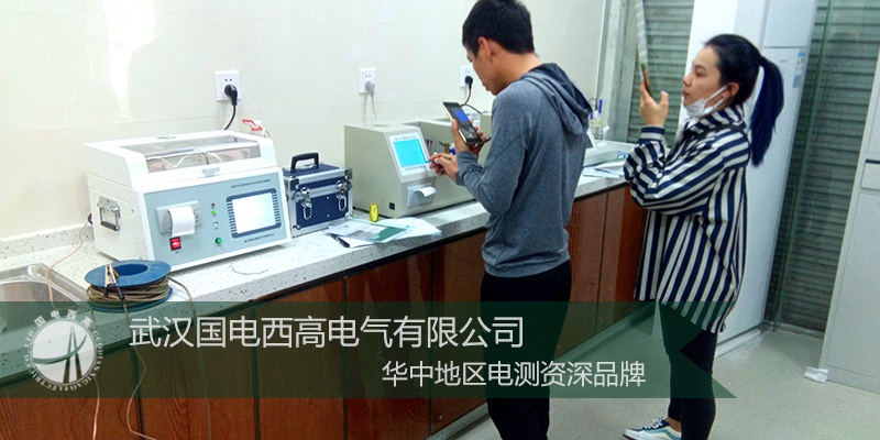 国电西高前往广西河池提供调试服务