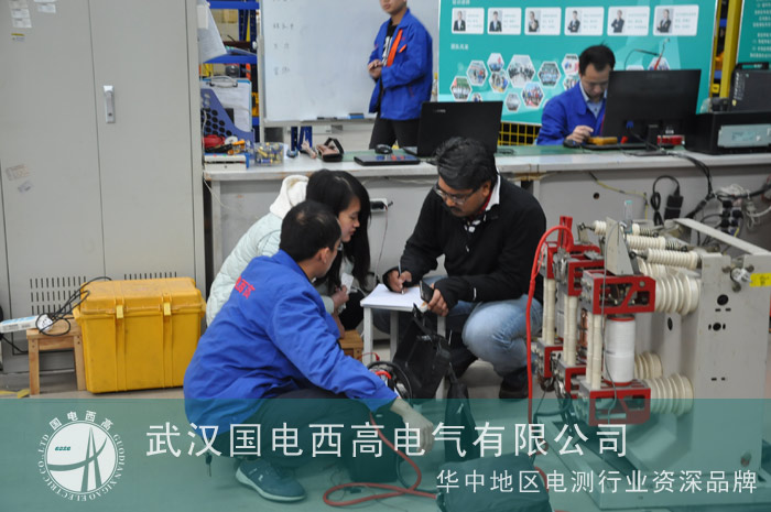 马来西亚客户到访国电西高