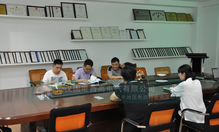 三峡新能源客户到访国电西高考察